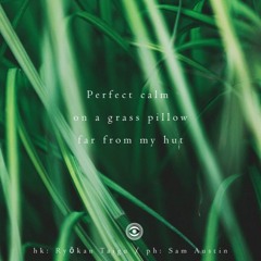 Lie Down On A Grass Pillow (naviarhaiku141)