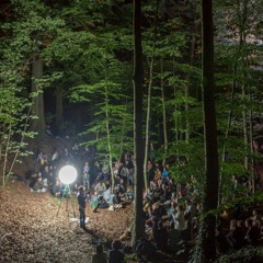 Timothy Morton, Nature Isn't Real