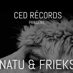 NATU X Frieks - Dispatch (Original Mix)