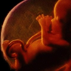 Nefferkturu - Memórias Intrauterinas (p/Mamã Dolo)