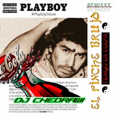 EL PINCHE BRUJO - TENGO LA CULPA (DJ CHEDRAWI REMIXXX)