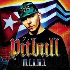 Pitbull - Dammit Man (feat. Piccalo)