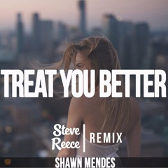 Shawn Mendes - Treat You Better (Steve Reece Remix)