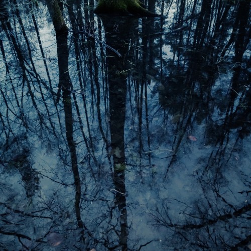 Drowned Valley