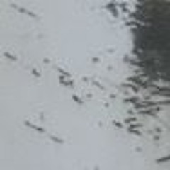 NOW AT THE TOP OF HAPPINESS