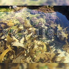 Skruish - The Place To Be