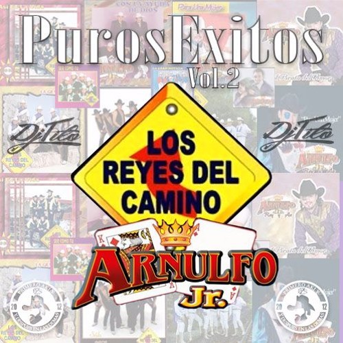 Los Reyes Del Camino y Arnulfo Jr Puros Exitos Vol2 (2016) Dj Tito