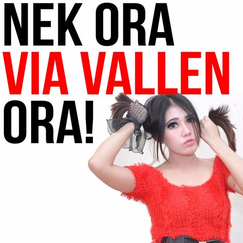 Via Vallen - Kimcil Kepolen NDX AKA(OM Sera Live)