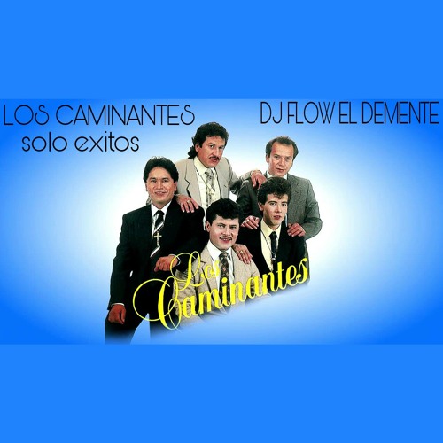 LOS CAMINANTES SOLO EXITOS  ( DJ FLOW EL DEMENTE) 2016