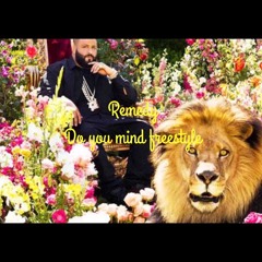 DJ Khaled- Do You Mind Remedy Freestyle