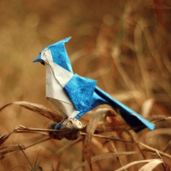 Origami Sessions #02