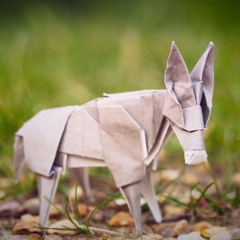 Origami Sessions #01