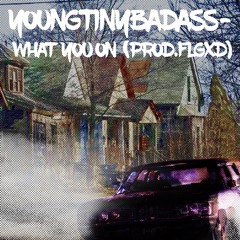 YoungTinyBadass - WYO (prod.flgxd)