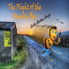 The Flight of the Bumblebee - Githin