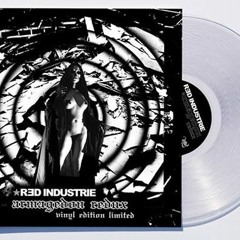 Red Industrie - The Fifth Horseman (DSX Remix)