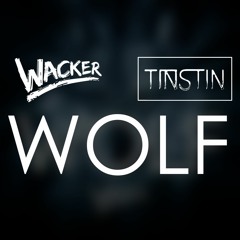 Wacker - Wolf(Tinstin's Remix)