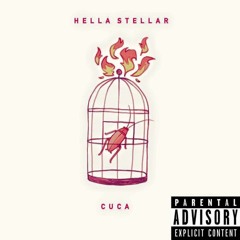 HELLA STELLAR - the_cockroach_in_the_birdcage (prod By スプレーspray)