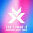Can't Fight It (HZRD Remix)