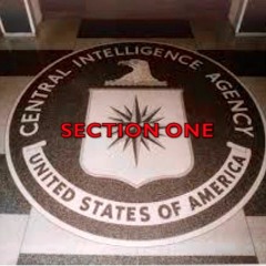 Section One - Never Thought