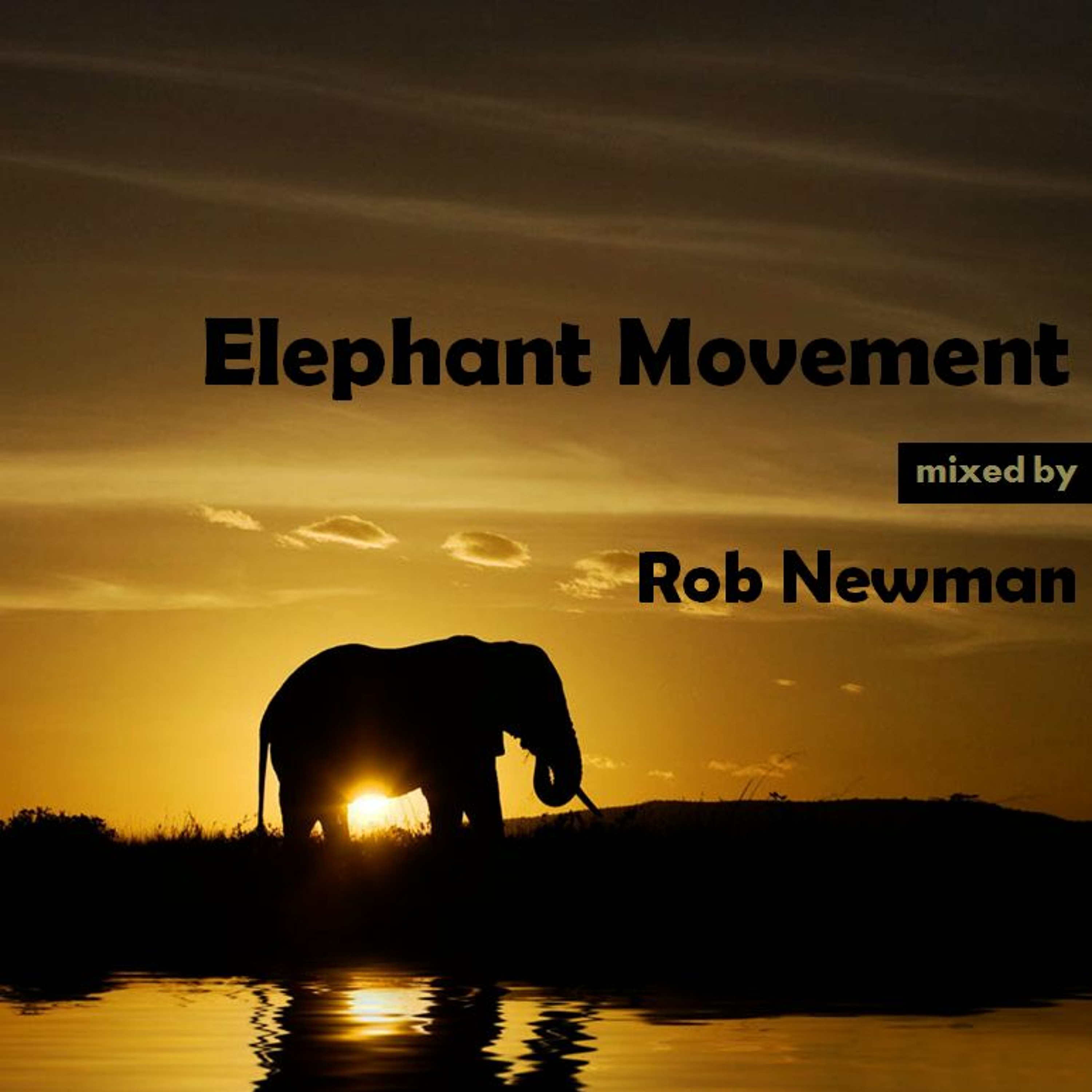 Rob Newman