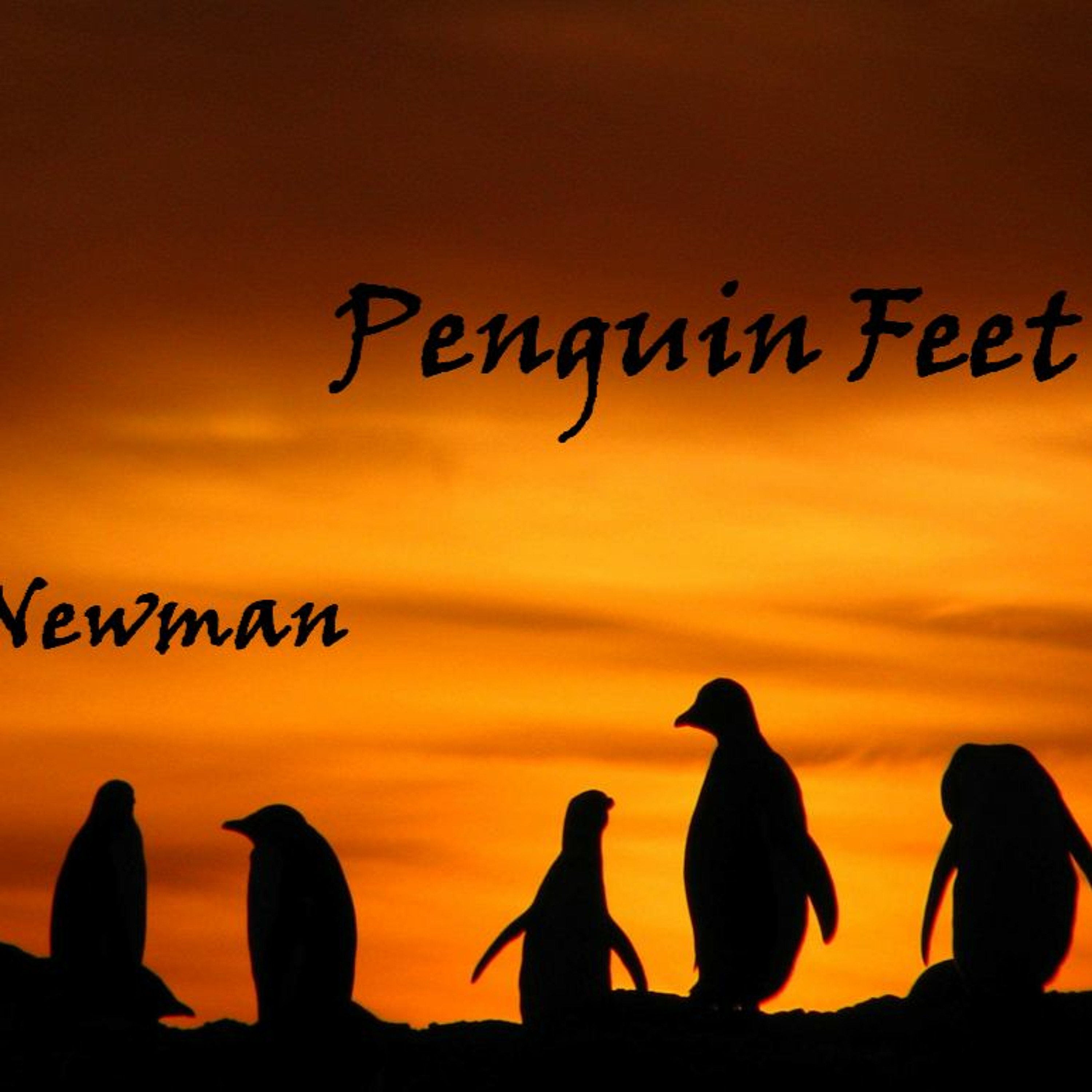 Rob Newman