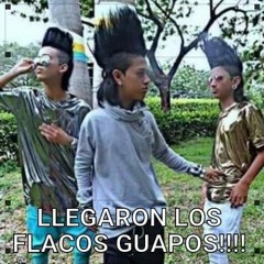 Llegaron Los Flacos Guapos - (Dj Gonz Beat™ ) 2016 Buy Now
