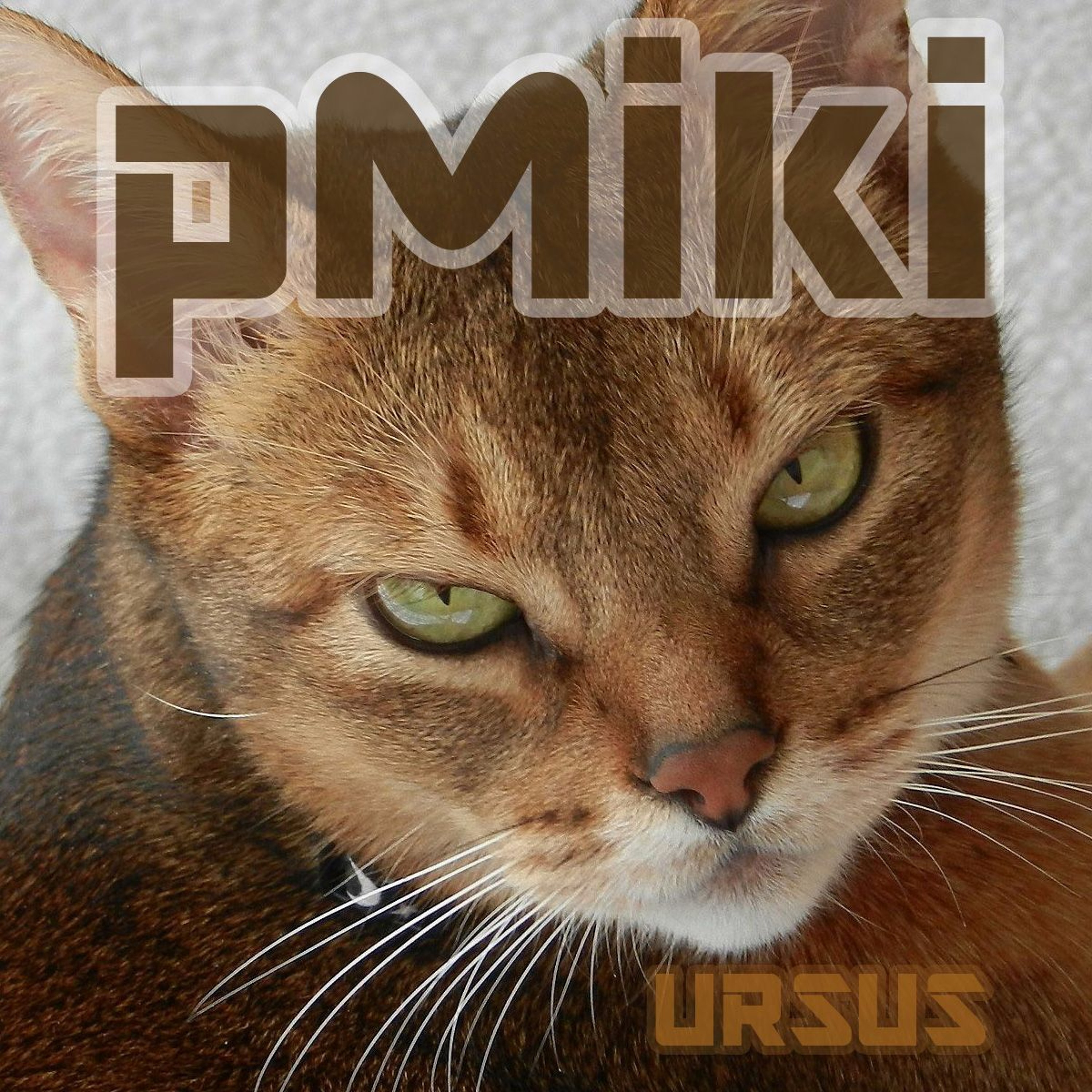 Ursus (Original Mix) episode artwork