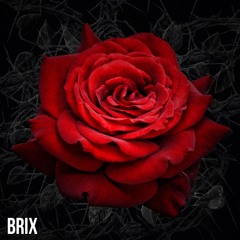 Brix Rosa - YOU