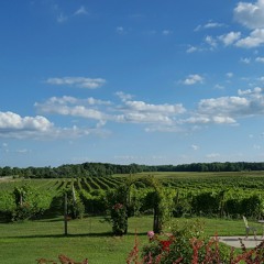 Have I Told You Lately.m4a