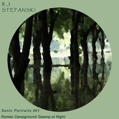 Campground Swamp at Night [HD Field Recording of Crickets and Frogs in Deep Woods]