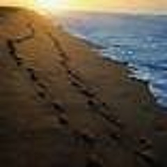 footprints