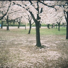 someone that loves you [HONNE | cover]