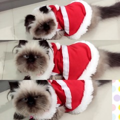 TAK MAMPU PERGI -Sammy S (cover by me) at Ss