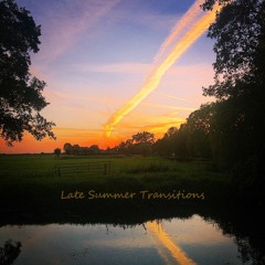 Sandeep - Late Summer Transitions