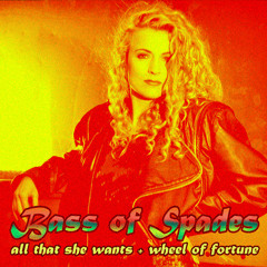 Wheel Of Fortune (1993)