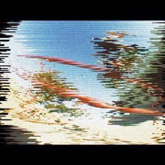SKATE VHS