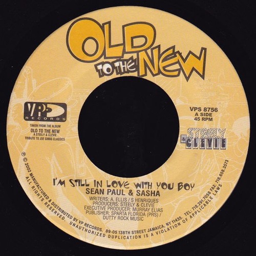 レゲエ I'M STILL IN LOVE リディム 2枚 Love Still In mix by Genius