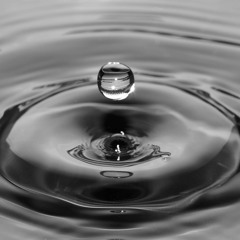 The quantum foundations of life | Johnjoe McFadden