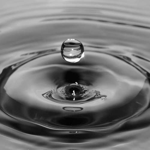 The quantum foundations of life | Johnjoe McFadden