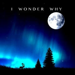I Wonder Why ft. Kate Lesing (Radio Edit 2016) *HQ*