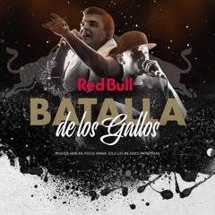 Papo Vs Sony - Final Red Bull Batalla De Los Gallos Argentina 2015