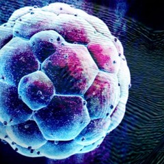 EMBRYO [Live impro]