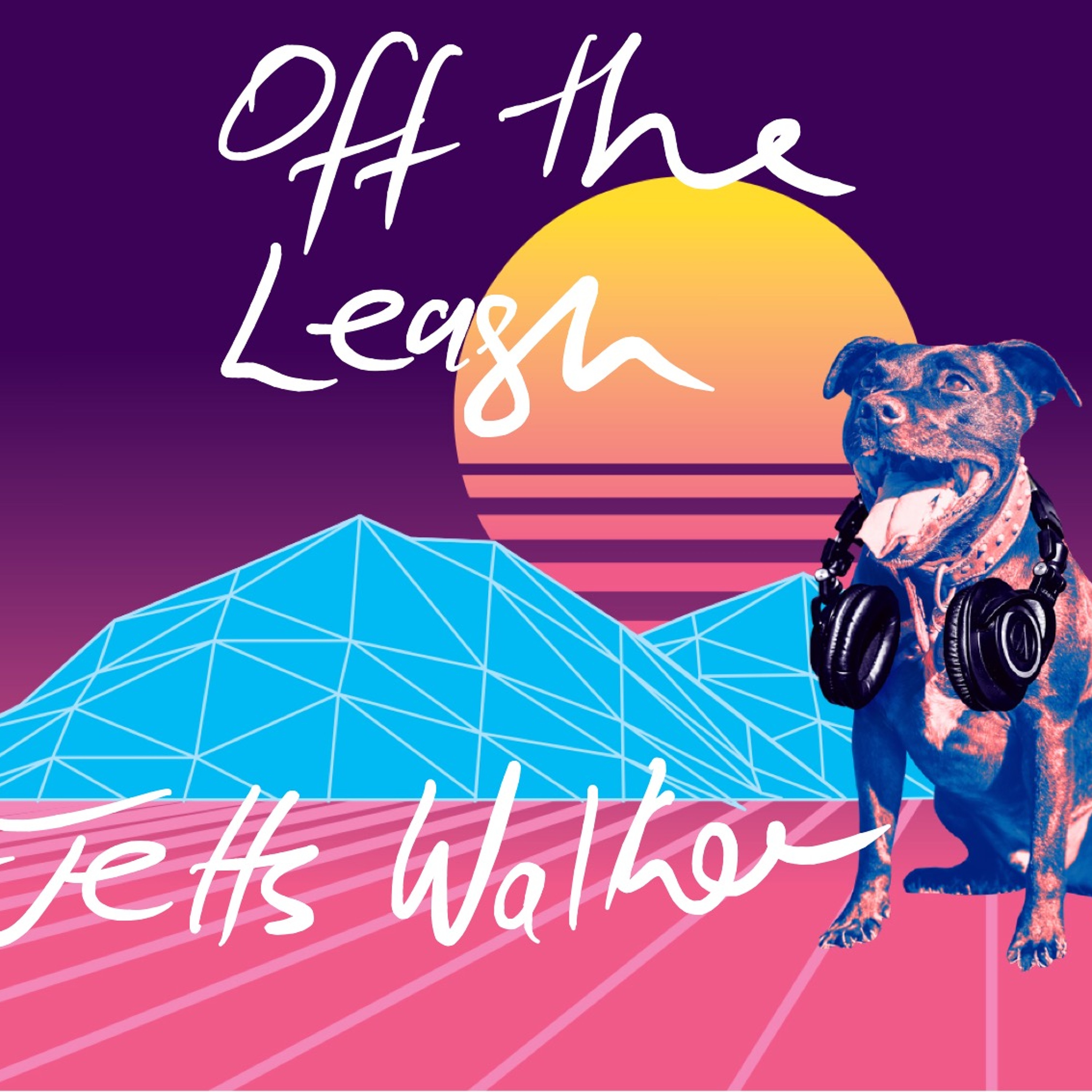 Jetts Walker