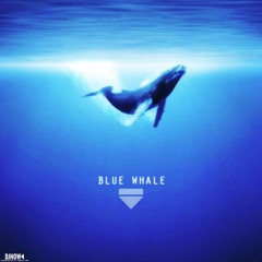 Whales in the Ocean [Prod. By Flacko]
