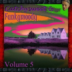 Catchysweet & Funkymoody5 (Finnstrumentalbeats)