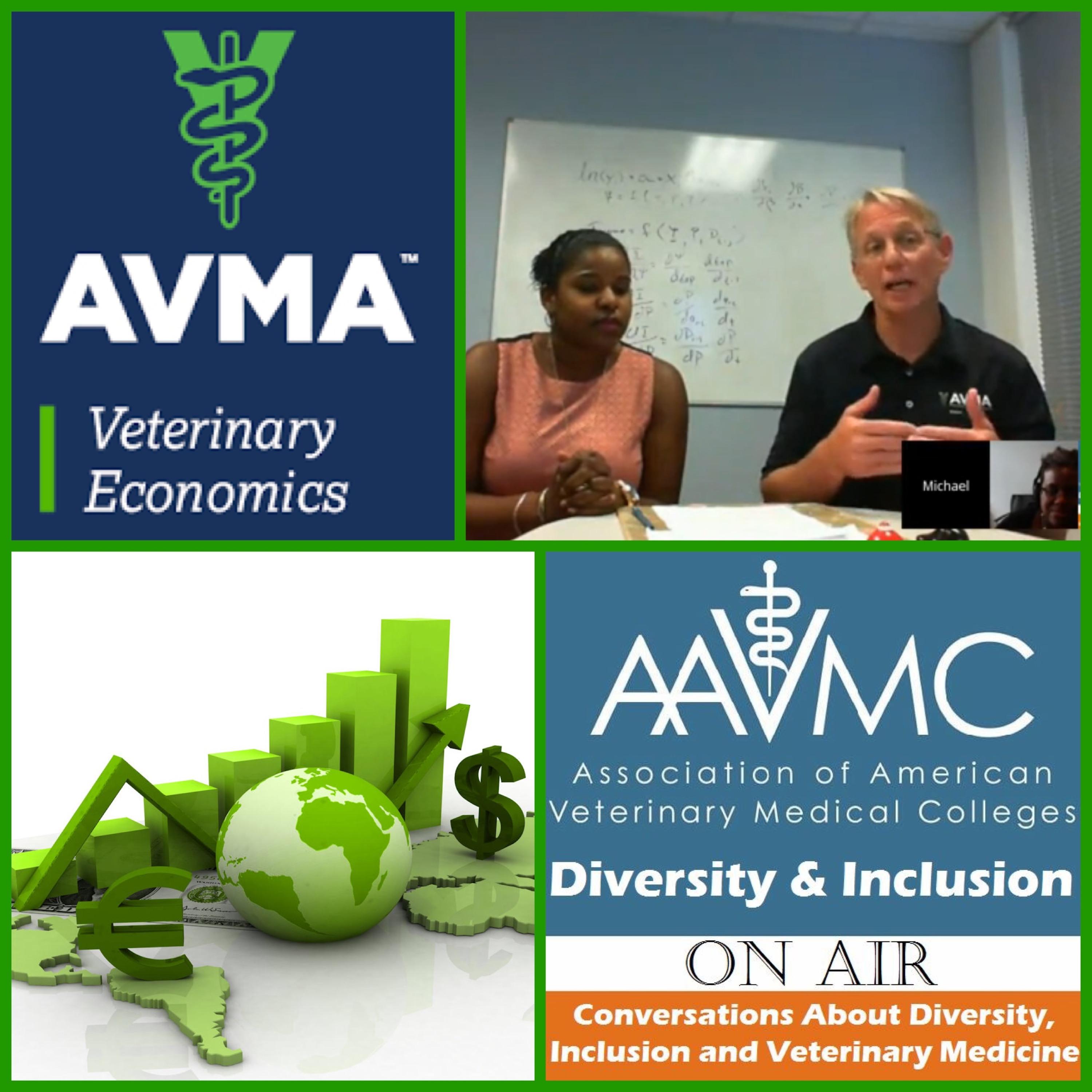 AAVMC\'s On Air: Conversations about Issues in Veterinary Medicine