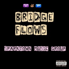 Drippin Off My Wave ft Vpg Glizzy,Zeedy