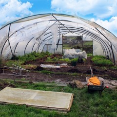 Episode 13 - Torville And Dean