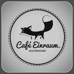 HeRMaNN & bOschEk - auF DeR SuCHe (CaFé eiNRauM - BH - 10.9.16)