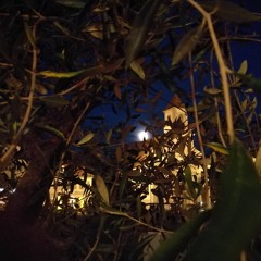 Sarah McLachlan - Possession (Cover)